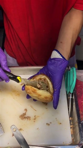 보이면 꼭 드세요! 대만식 고기 버거 Taiwan Meat Burger