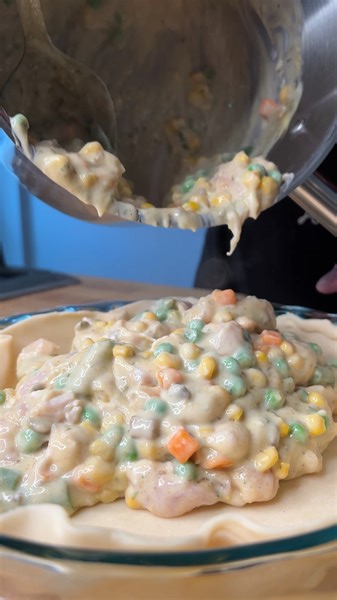458K views · 18K reactions | The best bang for your buck, make this $12 Chicken Pot Pie! #danosseasoning #yumyumgetyasum #foodsfavoriteflavor | Dan-O's Seasoning | Facebook