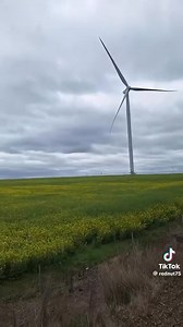 156K views · 1K reactions | Well that’s working out well for them 臘‍♀️ Here’s a perfect example of why they are useless, it’s to windy so the turbines must stop or they’ll spin that fast they’ll catch on fire, then when there’s no wind they’ll run on diesel. | Chick Fenton | Facebook