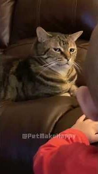 Cat’s Plan to Avoid the Baby… Failed Immediately.#funny #pets #animals #cute