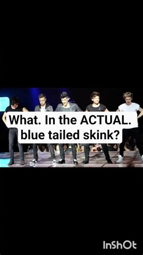 I promised you memes, I fear I outdid myself 😂😳. #onedirection #cooperalan #meme #funny #fyp #viral