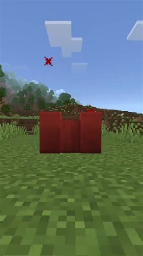 Border Block in Minecraft 🤯 #minecraft