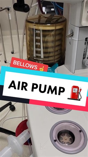 Understanding Ventilator Bellows in Anesthesia