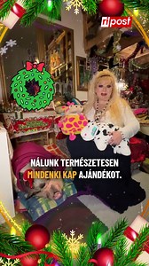 Így karácsonyozik Zsanna és a 75 kilós törpemalaca, Jordan