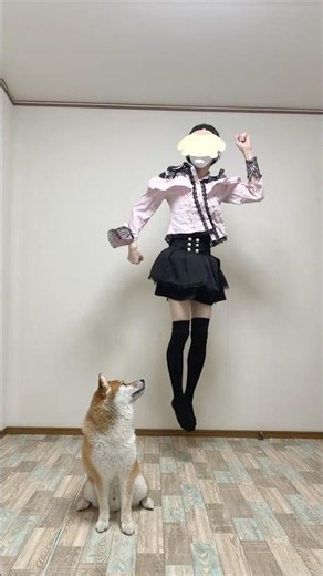毒親に育てられた柴犬こまちゃん。#shorts