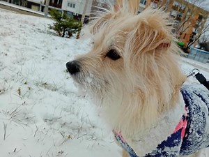 Kutya hideg lesz: éjszaka kemény fagyokra készülhetünk - pecsma.hu