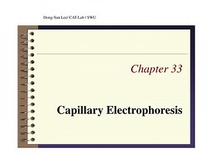 Chapter 33 Capillary Electrophoresis - SlideServe