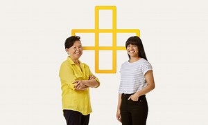 Virtual Power Plant (VPP) pilot program