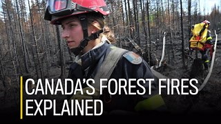 Map shows areas of Canada most affected by wildfires