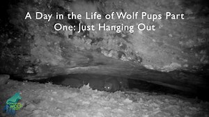 16K views · 550 reactions | Check out Part 1 of our short series on...