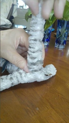 簡単、猫便秘解消法