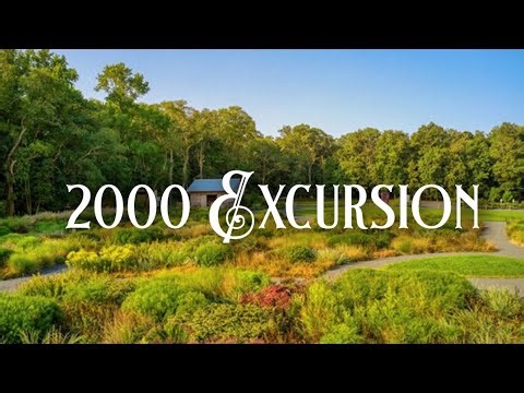 2000 Excursion - JACKBOYS (Lyrics)