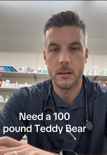 Understanding Bernese Mountain Dogs: What You Need to Know