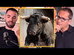 Biologist Answers the Big Question: Does the Bull Suffer During a Bullfight?