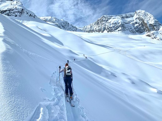 Rogers Pass Powder Skiing