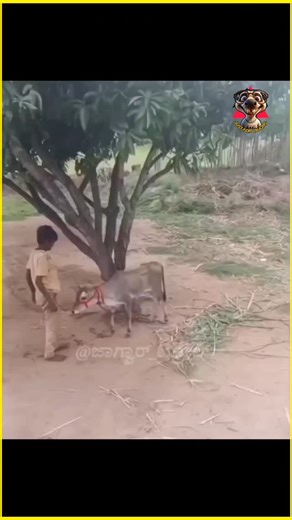 JUST FOR LAUGHS 😁 on Instagram: "😁😁 . . #vadivelu #tamilcomedy #instagram #tamildubbed #trending"