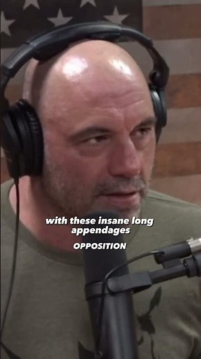 Alien squid under oil rig ?👽🛸 #youtube #youtubeshorts #joerogan #alien