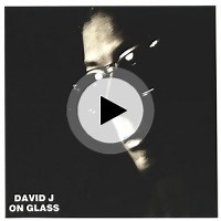 The Promised Land by David J