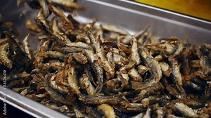 Small fried fish on a big plate. Street food. Tasty seafood taken by chef with barbecue tongs. Closeup of cooked fish. Small fish on street market. Delicious fried small fish on food market