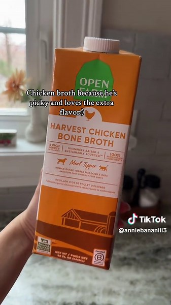 Feeding a Great Dane Puppy Healthy Breakfast Ideas