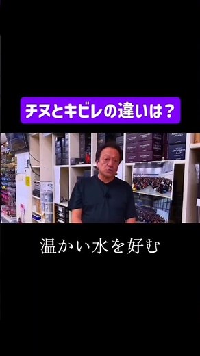 チヌとキビレの方の違いは？