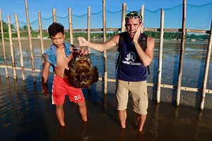 83K views · 2K reactions | Giant Strange Alien Crabs In The Philippines!! That is no joke! It is exactly what they looked like to me when I stumbled upon these in the Philippines! I have never seen crabs like this before... they are so surreal! Known locally as "Barangkas" these Horseshoe Crabs have a giant shell that protects them as they scurry around the ocean floor. I won't say much more... JUST WATCH!! #BecomingFilipino | BecomingFilipino | Facebook