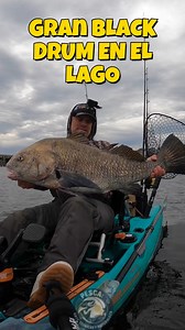 891K views · 25K reactions | GRAN BLACK DRUM EN EL LAGO #blackdrum #fishinglife #fishing | Pesca: Arte, Técnicas y Naturaleza | Facebook
