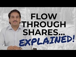 Flow-Through Shares Explained | Titan Discovery's 2025 Private Placement!