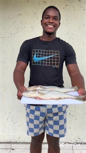 Grilled Fish Recipe Using Foil for Easy Cooking