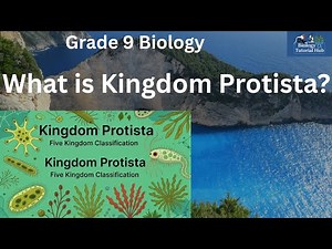 Kingdom Protista Characteristics and Classification (Grade 9 Biology)