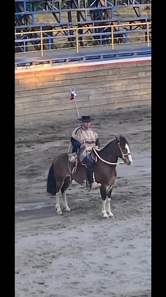 Videos de Juan casanova (@juan_casanova312) con “sonido original - saavedra ✌”