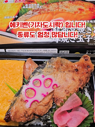 일본기차여행에서 가장 중요한 에키벤 #에키벤 #일본기차여행 #일본여행