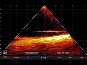 Garmin Panoptix Livescope LVS12 30-degree down view