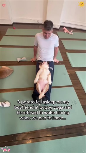 Adorable Puppies Join Yoga Class for Fun