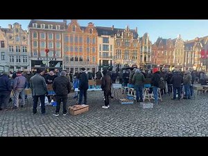 Lier Racing Pigeon Market Belgium 2023