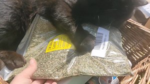 18 reactions | The Scratching Post Cat Rescue on Reels | Facebook