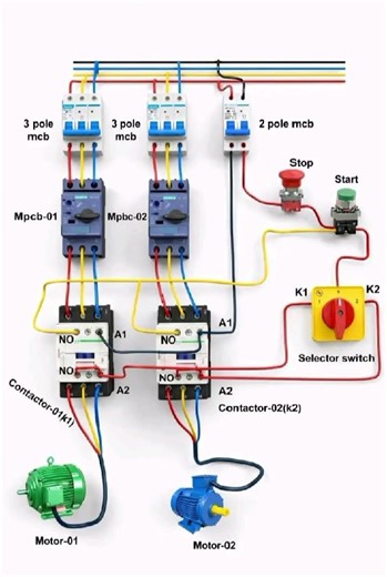 2 Motors Control with Selector Switch ⚡Dual Motor Control Wiring (Easy Guide) 🔌Start/Stop