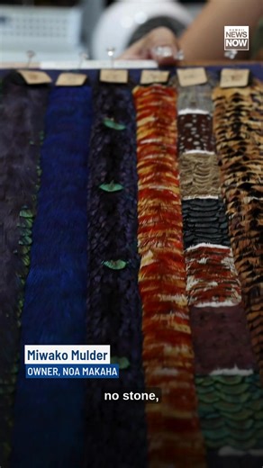 Miwako Mulder of NOA Makaha learned the art of Hawaiian feather working from two lei hulu masters. Before their passing, Mulder’s kumu gave her permission to continue teaching and perpetuating the art. Some of her recent pieces appear in the series, "Chief of War." | Hawaii News Now