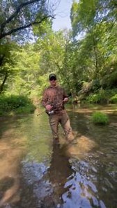 8.5K views · 150 reactions | Whether you're in a bass boat or a kayak, the Avid Series rods are ideal for the versatile angler. Perfect for travel, they handle everything from casting big lures for trout to jigging for smallmouth or walleye, making them the perfect choice for many styles of fishing. #stcroixrods #bestrodsonearth #fishinglife #travelingangler #troutfishing | St. Croix Rods | Facebook