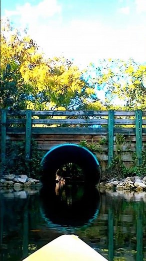 Kayaking Through Scenic Bridges at Riverbend Park | A Serene Loxahatchee River Journey