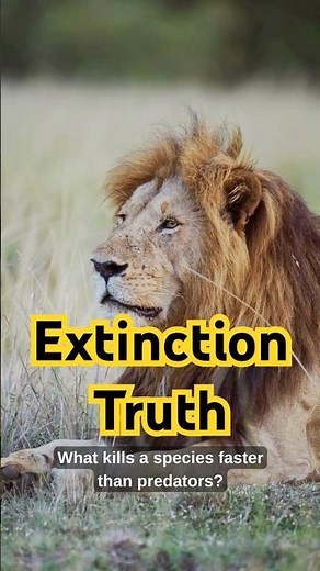 What is Extinction ? | What Really Causes Extinction?