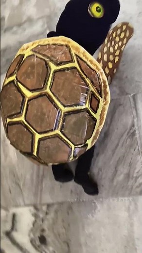 tortoise 🐢 fancy dress made with cardboard #tortoise #fancydress #cardboardcraft #schooldays