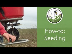 How-to: Seeding Methods for Wildflower Plantings