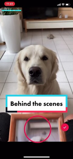 Behind the scenes 😱 #tutorial #fyp #falcopunch