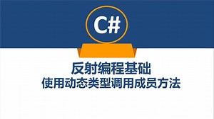 C#反射编程基础使用动态类型调用成员方法