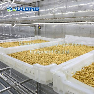 [Hot Item] 40feet 1000kg/Day Barley Grass Hydroponic Container Growing System Vertical Farming Container Farm for Animal