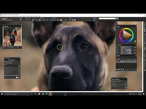 More How to Auto Paint in Corel Painter 2020