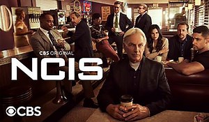NCIS Family Mourns the Death of One of Their Own: ‘We Will Miss You’