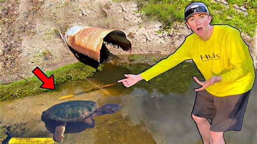 4.4K views · 159 reactions | Catching NEW Pet Snapping Turtles! (HUGE BITE) - Bass fishing Productions | Bass fishing Productions MK2 | Facebook