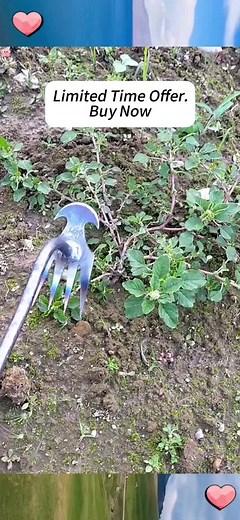Make your garden look perfect! With our manganese steel gardening tools, you can effortlessly pull weeds out from the roots. They are the ideal choice for gardening enthusiasts and home growers! #gardeningtools #homesowing #easygardening #greenhome #plantlovers #consantanderconnected